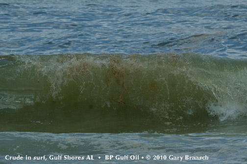 Gulf Oil Spill Photos